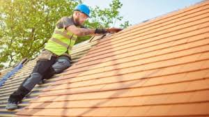Best Roof Maintenance and Cleaning  in Wedgefield, FL