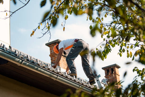 Best Green or Eco-Friendly Roofing Solutions  in Wedgefield, FL