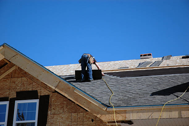 Best Roof Ventilation Installation  in Wedgefield, FL