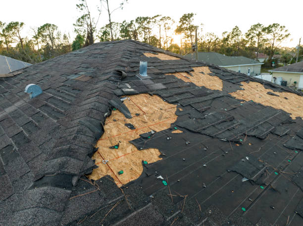 Best Wood Shake Roofing  in Wedgefield, FL