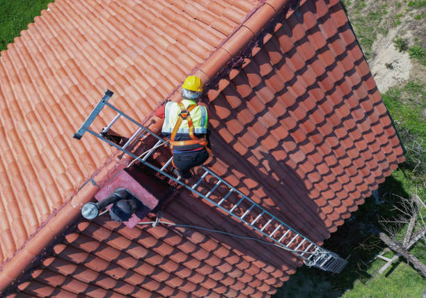 Best Roof Ventilation Installation  in Wedgefield, FL