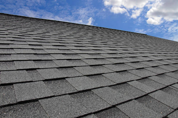 Best Gutter Installation and Repair  in Wedgefield, FL